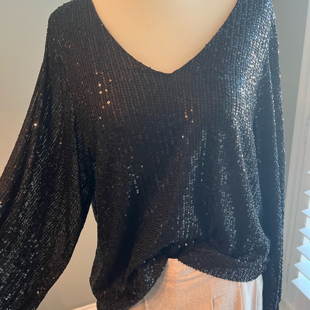 Vine & Love Black Sequin Blouse